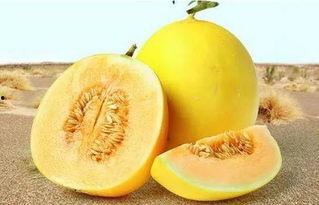 166.su吃瓜网入口,揭秘娱乐圈最新热点，带你畅游八卦海洋