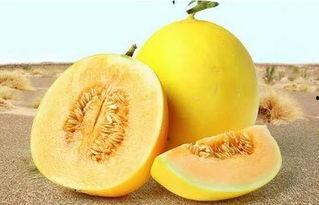 166su吃瓜网入口,揭秘娱乐圈最新热点，带你畅游八卦海洋